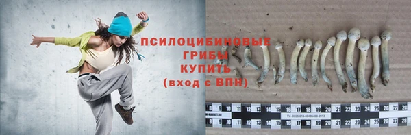 стаф Сатка
