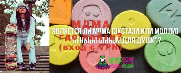 ешки Алексин