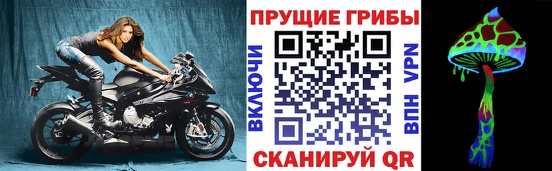 Псилоцибиновые грибы мухоморы Хотьково